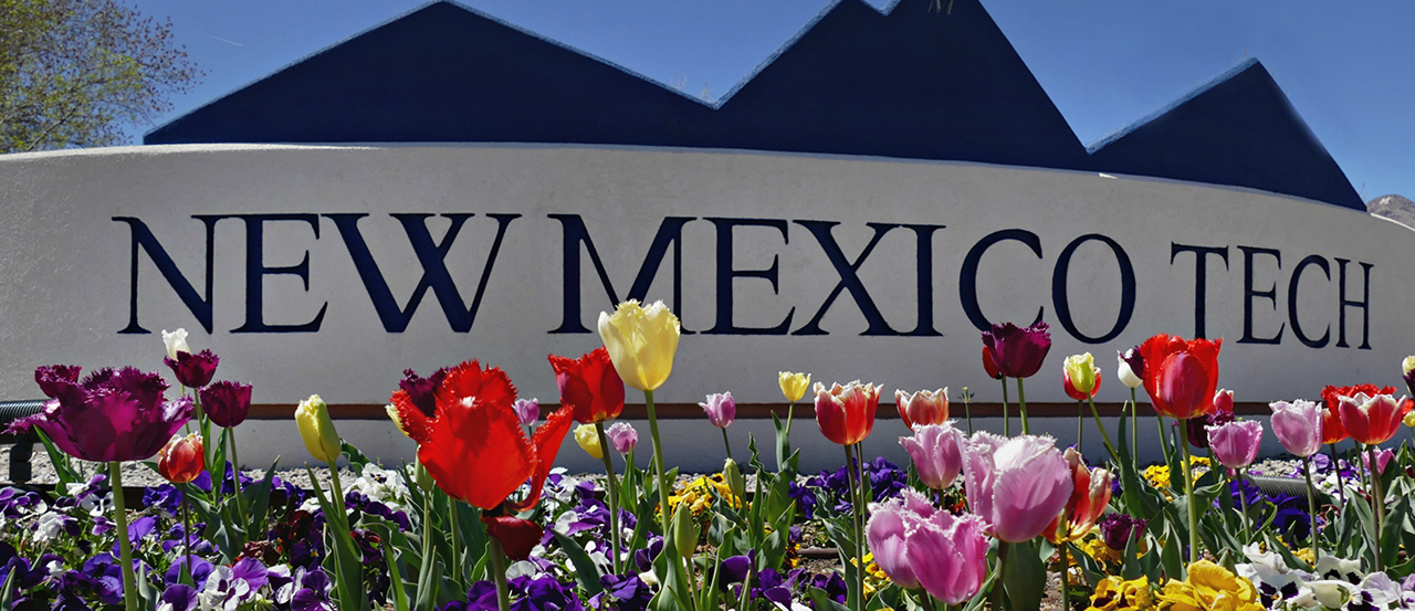 Images of flowers in front of signs around campus.